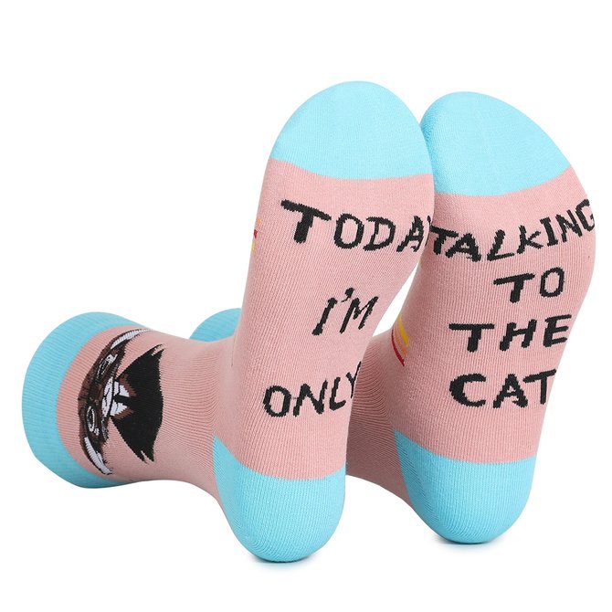 Cat Lover Funny Letter Socks